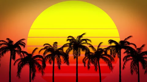 Animated Sun With Palms Stock Footage 242374338