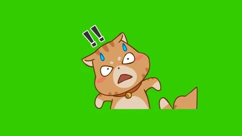 Animated Surprised Cat with Green Screen Background Stock Footage 282774890