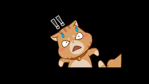 Animated Surprised Cat with Transparent Background Stock Footage 282774891