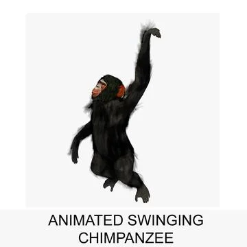 Animated Swinging Chimpanzee 3D Model