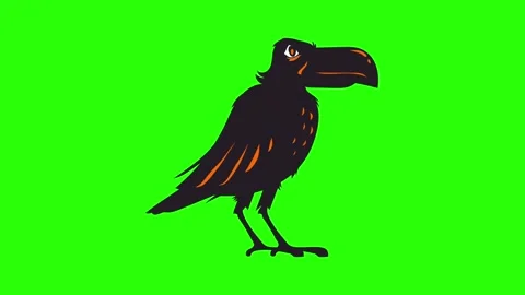 Animated Talking Crow on Green Screen. 스톡 동영상 318171217