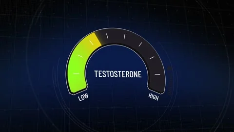 Animated testosterone level gauge, digital display moving from low to high an Stock Footage 317990513