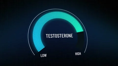 Animated testosterone level gauge moving from low to high, male health Stock Footage 314681863
