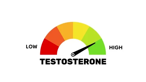 Animated Testosterone Level Meter, Male Hormone Indicator 库存影片 311811599