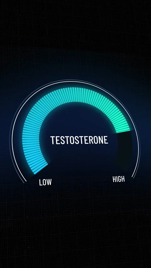 Animated testosterone meter rising from low to high level, digital Stock Footage 314681866