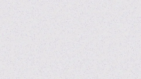 Animated texture white background liquid purple texture loop animation motion Stock Footage 291330821