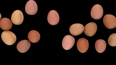 Animated top view of slowly rolling from left to right few regular chicken eggs Stock Footage 103242719