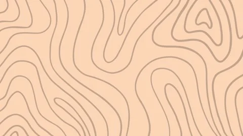 Animated topography line background hand drawn Stock Footage 293109852
