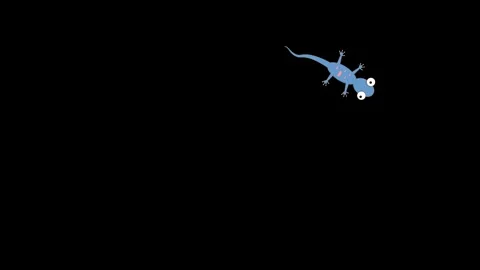 Animated Toucan Perched on a Wall Stock Footage 278342628