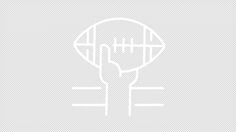 Animated touchdown white icon Stock Footage 276527361