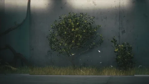 Animated tree and grass growing in the concrete garden Stock Footage 255658942