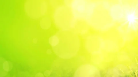 Animated tree branch waggle in the wind Stock Footage 49639545