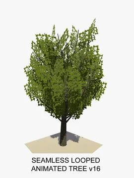 Animated Tree v16 3D Model