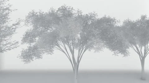 Animated tree with white styrofoam effect Stock Footage 265529352