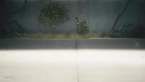 Animated trees and plants growing in the garden Stock Footage 255662424