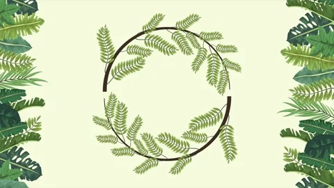 Animated tropical leaf frame with green foliage borders on light background. Stock Footage 338399413