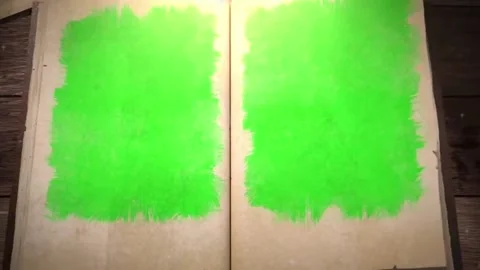 Animated turning pages of an old book with Green Screen growing slowly on D.. Stock Footage 310289667