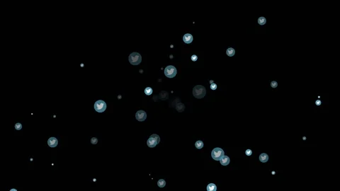 Animated Twitter logo explosion Stock Footage 142673345