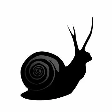Animated vector illustration of a black snail animal on a white background Illustrazione stock