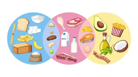 Animated Venn Diagram Sorting Food Groups on White Background Stock Footage 318567007