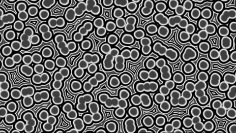 Animated video of cell tissue in living things seen from a microscope Stock Footage 287838716