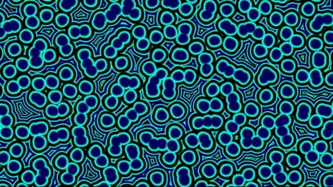 Animated video of cell tissue in living things seen from a microscope Stock Footage 287838718