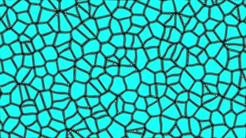 Animated video of cell tissue in living things seen from a microscope Stock Footage 287851152