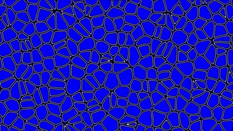 Animated video of cell tissue in living things seen from a microscope Stock Footage 287851153