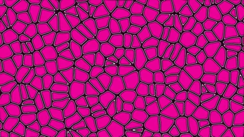 Animated video of cell tissue in living things seen from a microscope Stock Footage 287851154