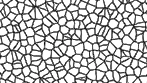 Animated video of cell tissue in living things seen from a microscope Stock Footage 287851199