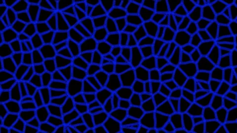 Animated video of cell tissue in living things seen from a microscope Stock Footage 287851270