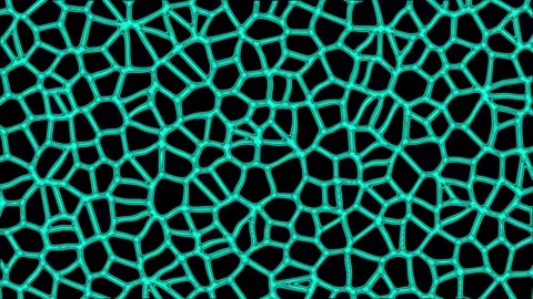 Animated video of cell tissue in living things seen from a microscope Stock Footage 287851271