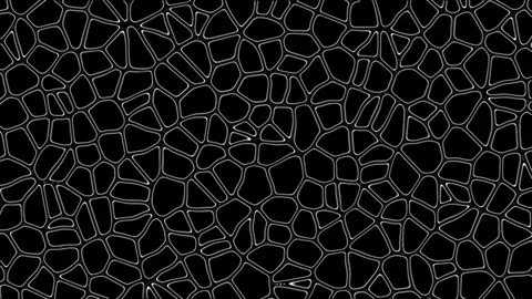 Animated video of cell tissue in living things seen from a microscope Stock Footage 287851907
