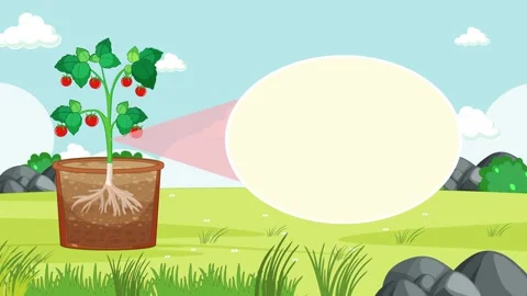 Animated video explaining plant stem structure and function with detailed c.. 動画素材 332688025