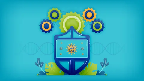 Animated video for protection and security mechanisms with shields to preve.. Stock Footage 256874508