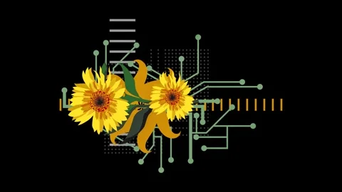 An animated video with a stylized flower. Stock Footage 271285550
