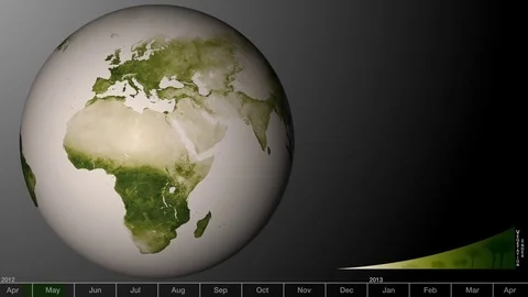 An animated visualization shows the green areas of earth increasing and 動画素材 74959356