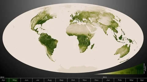 An animated visualization shows the green areas of earth increasing and 動画素材 74959542