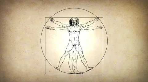Animated Vitruvian Man by Leonardo Da Vinci Stock Footage