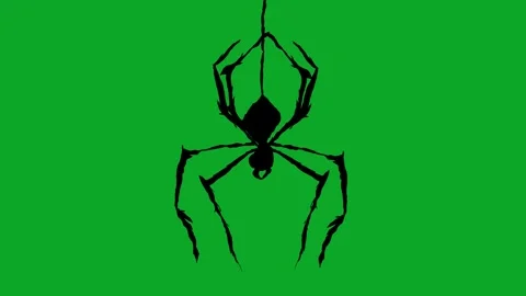 Animated Walking Spider Green Screen Loop - Realistic/Cartoon Creepy Crawly VFX Vídeos de archivo 319405488