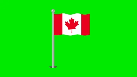 Animated waving Canada flag. Animation, motion graphics.  库存影片 136513458