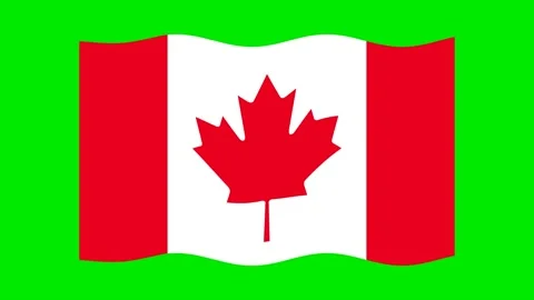 Animated waving Canada flag. Animation, motion graphics.  Stock Footage 136513869