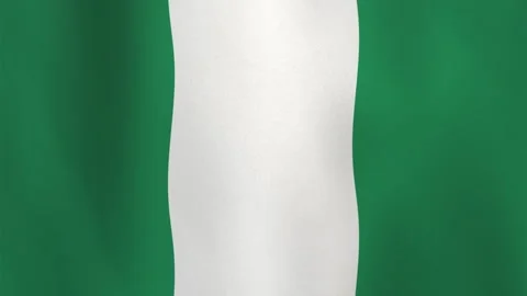 Animated Wavy Flag of Nigeria Loop Background in Green and White Tones Stock Footage 307509607