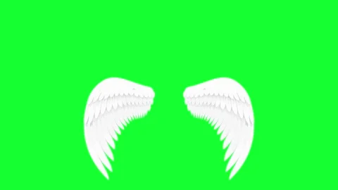 Animated white angel wings flapping on green screen background. Chroma key .. Stock Footage 340300512