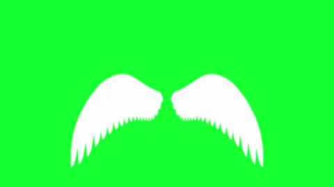 Animated white angel wings flapping on green screen background. Chroma key .. Stock Footage 340300513