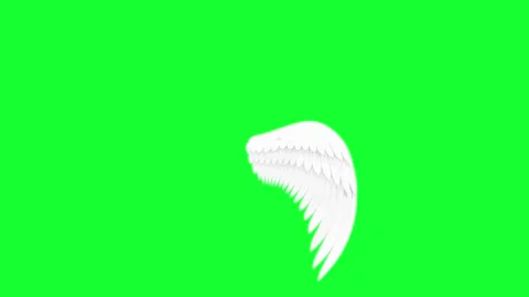Animated white angel wings flapping on green screen background. Chroma key .. Stock Footage 340300516