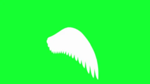 Animated white angel wings flapping on green screen background. Chroma key .. Stock Footage 340300517
