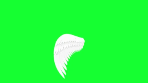 Animated white angel wings flapping on green screen background. Chroma key .. Stock Footage 340300518