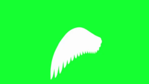 Animated white angel wings flapping on green screen background. Chroma key .. Stock Footage 340300520
