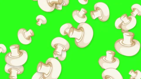 Animated White Button Mushrooms Falling on a Bright Green Background Stock Footage 342780070